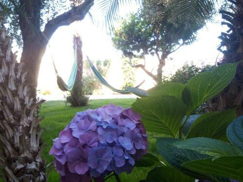 Hostal Nora Guesthouse Rooms And Villas