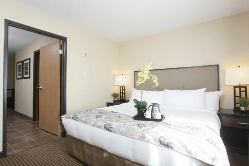 Hotel Pomeroy Inn & Suites At Olds College