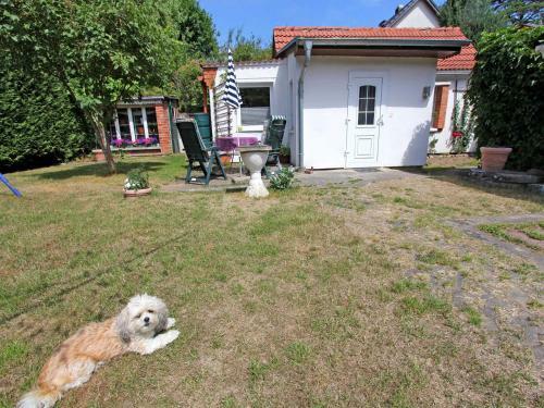 Ferienhaus Lubmin Vorp 1451