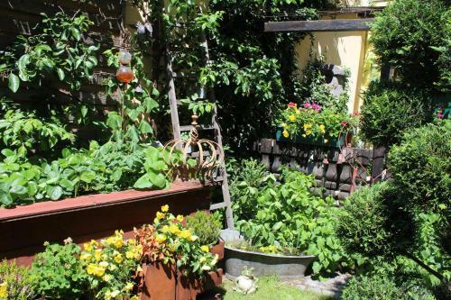 Spreewald Ferienwohnung L�bben