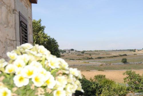 Bed & Breakfast Casale Clemente Beb