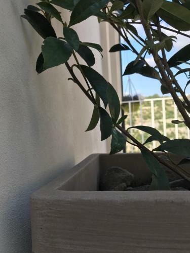 Bed & Breakfast La Volta Rooms Locazione Turistica
