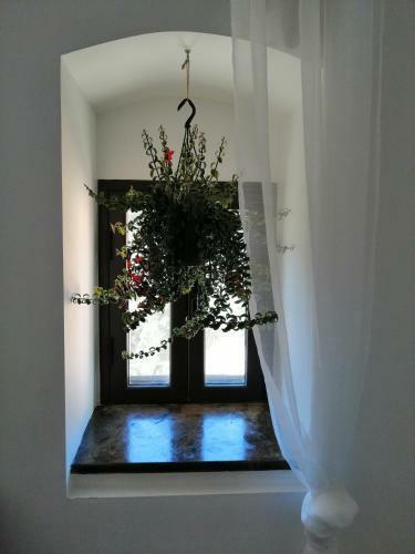 Apartamento La Casa Di Sveva