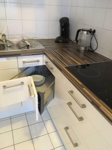 Apartment 'rheinblick' Mit Grosser Terrasse