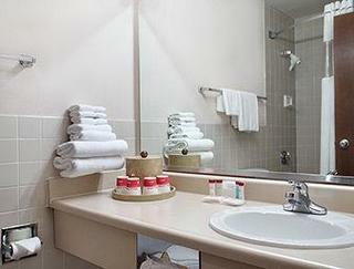 Ramada Waterloo Hotel And Convention Center