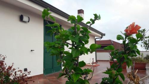 Attico Riace
