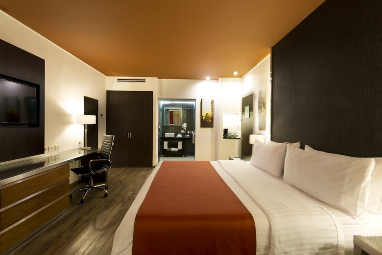 Hotel Holiday Inn Mexico Coyoacan