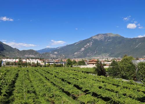 Apartamento Casa San Giacomo 2