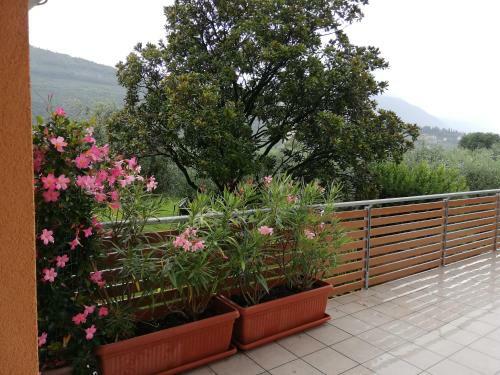 Apartamento Appartamento La Terrazza
