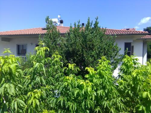Apartamento House Rose