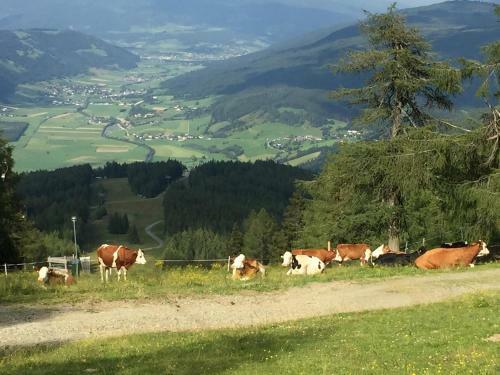 Agroturismo Urbangut