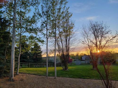 Among The Aspens Family Cottage
