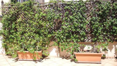Apartamento Casa Centro Storico Rimini