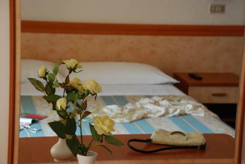 Hotel Serenella Vintage