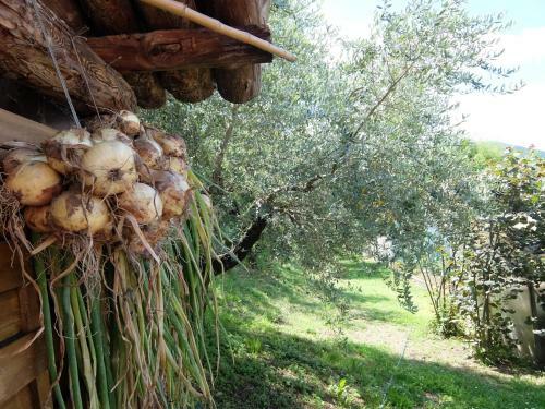 Apartamento Villa Gaia