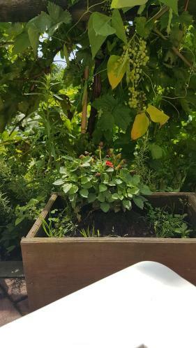 Kidonia - Iseo Lake Apartmens