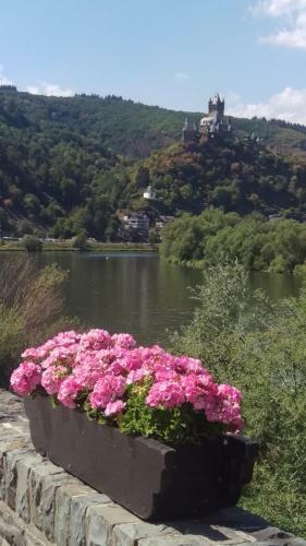 Apartamento Familiehuis Dolve
