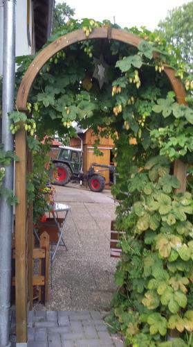 Apartamentos Ferienwohnung H�gelhof