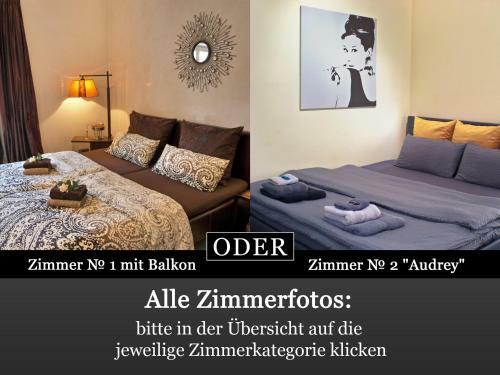 Lion Homestay Munich