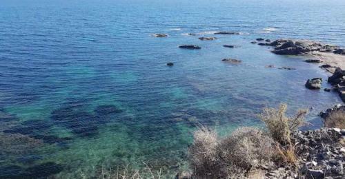 Apartamento Estrella Del Mar