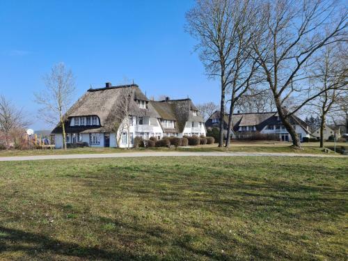 Apartamento Das Landhaus Am Haff Lhh B02