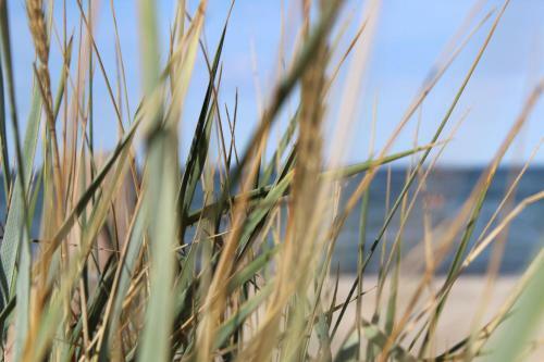 Apartamento Seaside Lodge S�sel, L�becker Bucht, Ostsee