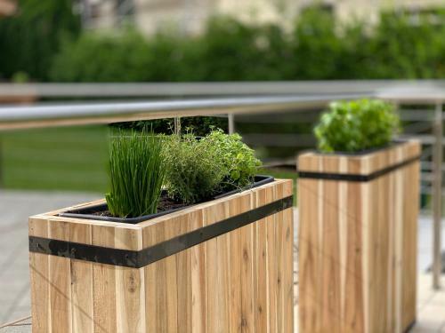 Apartamento Lea Am See - Bio Design Appartement