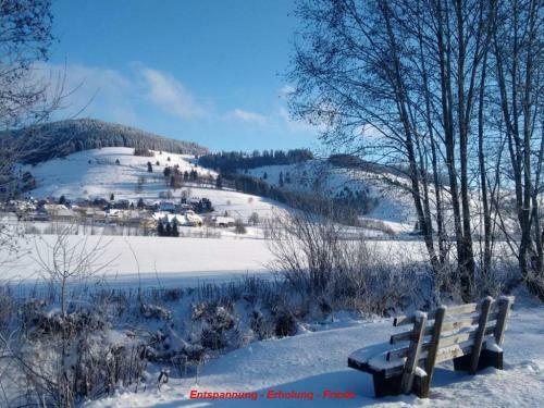 Apartamento Ferienwohnung Schwarz