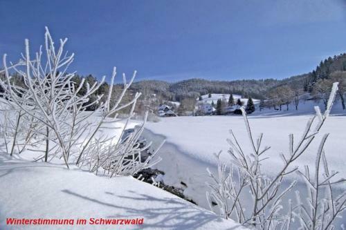 Apartamento Ferienwohnung Schwarz