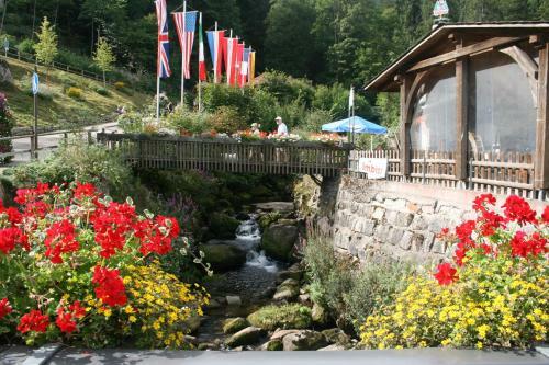 Hostal G�stehaus Zur Lilie