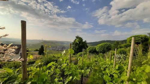Apartamento Casa La Vino