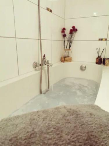 Apartamento Anker 35 Timmendorfer Strand Souterrainwohnung
