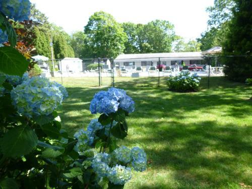 Falmouth Heights Motor Lodge