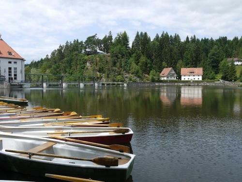 Ferienhaus Nr 6d, Feriendorf Hagb�gerl, Bayr Wald