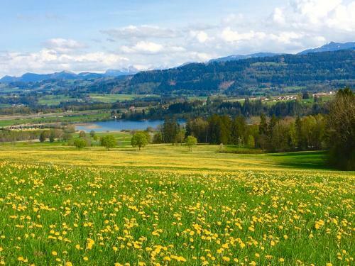 Apartamento Ferienwohnung Heimatliebe