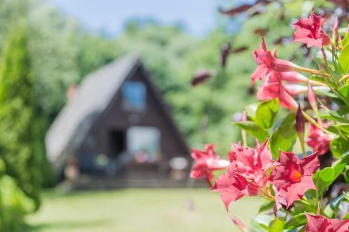 Uriges Tinyhouse Nahe Der Ostsee