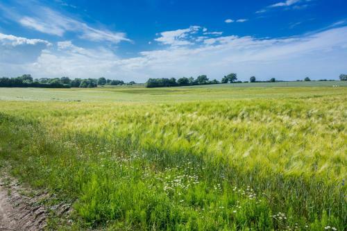 Uriges Tinyhouse Nahe Der Ostsee