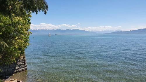 Apartamento Haus Wald Und See - Wasserburg