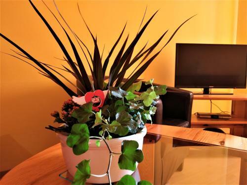 Apartamento Ferienwohnungen Am Seeufer 11
