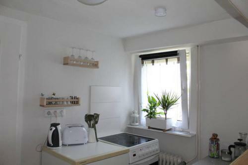 Apartamento Ferienwohnung/monteurwohnung Am Badesee Bei Kassel