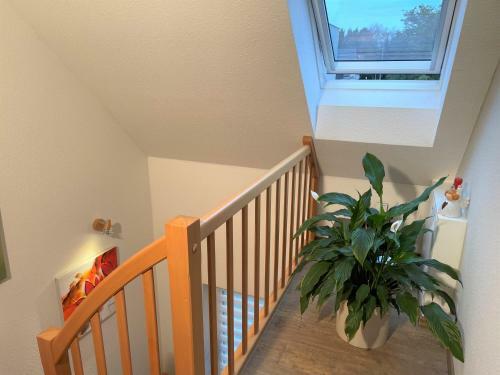 Ferienhaus Spreedeich
