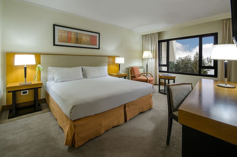 Hotel NH Bariloche Edelweiss