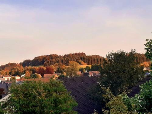 Apartamento Fewo Alte Schule Willingen-usseln