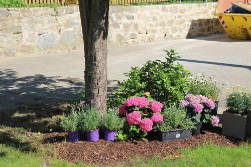 Hostal Pension Mois