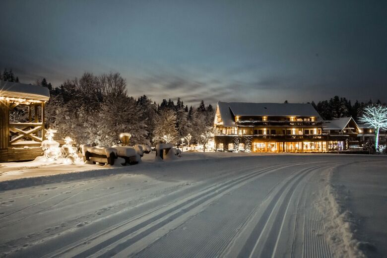 Hotel Gr�ner Wald