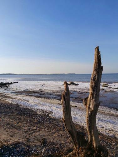 Apartamento Neu! Kaj�te Am Badestrand - Abc57