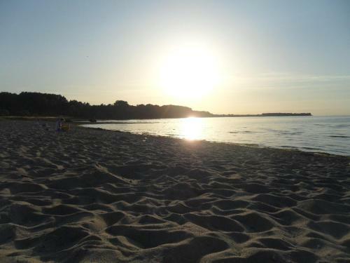 Apartamento M�we Am Strand Mit Terrasse & Parkplatz - Abc58