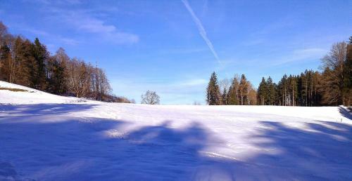 Hostal Pension Zur Altdeutschen