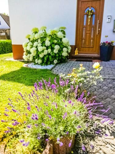 Apartamentos Ferienwohnung Ilona