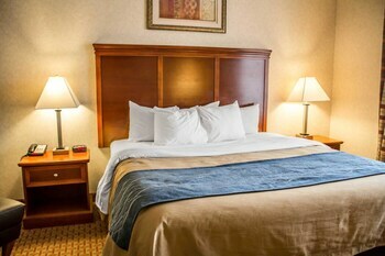 Hotel Comfort Inn & Suites Kent